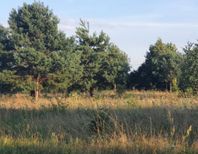 Rolny na sprzedaż, Olsztyński (Pow.) Dobre Miasto (Gm.) Kabikiejmy Dolne, 85 000 zł, 5000 m2, 18198516