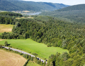 Działka na sprzedaż, Gorlicki Uście Gorlickie, 399 000 zł, 14 300 m2, 225/6152/OGS