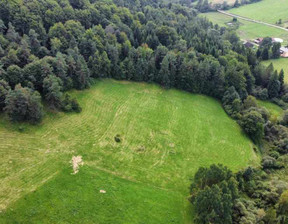 Działka na sprzedaż, Gorlicki Uście Gorlickie Regietów, 196 000 zł, 15 200 m2, 346/6152/OGS