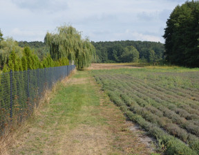 Działka na sprzedaż, Łęczyński Milejów Klarów, 90 000 zł, 8136 m2, 1530/13924/OGS