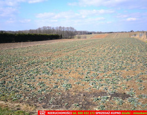 Działka na sprzedaż, Lubelski Konopnica Motycz, 295 000 zł, 6800 m2, 620/13924/OGS