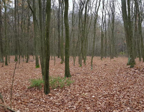 Leśne na sprzedaż, Lubartowski Kamionka Samoklęski, 20 000 zł, 5800 m2, 803/13924/OGS