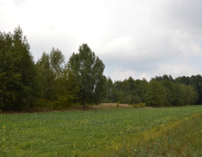 Rolny na sprzedaż, Lubartowski Niedźwiada Brzeźnica Leśna, 150 000 zł, 17 698 m2, 1526/13924/OGS