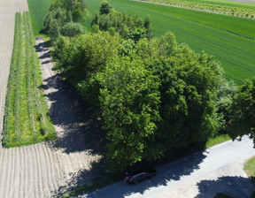 Działka na sprzedaż, Lubelski Bychawa Wola Duża-Kolonia, 170 000 zł, 2000 m2, 1600/13924/OGS