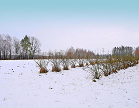 Działka na sprzedaż, Puławski Kazimierz Dolny, 249 900 zł, 3100 m2, 619/13924/OGS