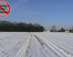 Działka na sprzedaż, Lubelski Niedrzwica Duża Krężnica Jara, 490 000 zł, 8000 m2, 775/13924/OGS