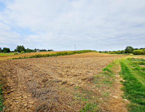 Rolny na sprzedaż, Puławski Kurów Buchałowice, 90 000 zł, 6065 m2, 1088/13924/OGS