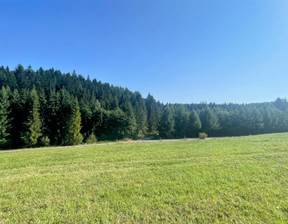 Działka na sprzedaż, Nowosądecki Krynica-Zdrój Kopciowa, 449 000 zł, 5100 m2, HEG-GS-973