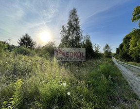 Działka na sprzedaż, Policki (pow.) Dobra (szczecińska) (gm.) Buk Leśne Zacisze, 350 000 zł, 1182 m2, 256