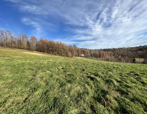 Budowlany na sprzedaż, Myślenicki Myślenice Krzyszkowice, 750 000 zł, 5400 m2, 1434