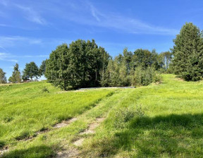 Działka na sprzedaż, Myślenicki Myślenice Krzyszkowice, 390 000 zł, 1942 m2, 1424