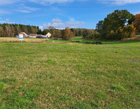 Działka na sprzedaż, Czarnkowsko-Trzcianecki Lubasz Antoniewo, 127 000 zł, 2300 m2, FCZ-GS-197587