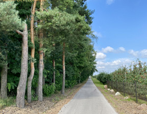 Działka na sprzedaż, Grójecki Chynów Mąkosin, 180 000 zł, 16 164 m2, pl539139226