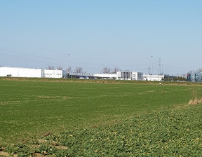 Działka na sprzedaż, Poznański (pow.) Dopiewo (gm.) Dąbrowa, 522 000 zł, 1740 m2, 122