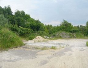 Działka na sprzedaż, Mikołowski Mikołów, 4 400 000 zł, 20 000 m2, 108460939