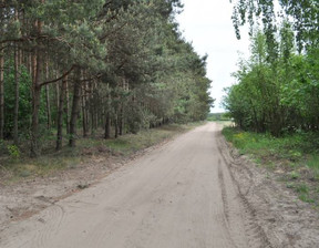 Rolny na sprzedaż, Wągrowiecki Skoki Wysoka, 410 000 zł, 23 000 m2, DRN-GS-3413