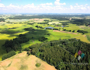 Działka na sprzedaż, Olsztyński Barczewo Próle, 199 000 zł, 38 100 m2, 1662/6682/OGS