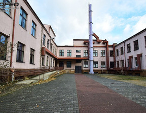 Fabryka, zakład do wynajęcia, Bielsko-Biała M. Bielsko-Biała Centrum, 54 000 zł, 3600 m2, PCN-BW-9850