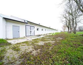 Magazyn, hala do wynajęcia, Gorzowski Deszczno, 15 000 zł, 1400 m2, 21/2181/OOW