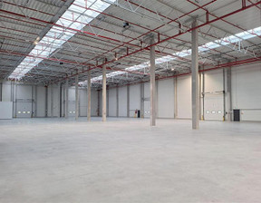 Magazyn do wynajęcia, Gdynia Chylonia Hutnicza, 126 000 zł, 6000 m2, GB06285