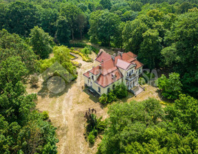 Dom na sprzedaż, Dąbrowski (Pow.) Szczucin (Gm.) Lubasz, 2 250 000 zł, 620 m2, 348