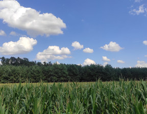 Działka na sprzedaż, Opolski (Pow.) Dąbrowa (Gm.) Siedliska, 750 000 zł, 5000 m2, 1679