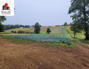 Budowlany na sprzedaż, Krakowski Kocmyrzów-Luborzyca Łuczyce, 1 700 000 zł, 10 000 m2, 82721022