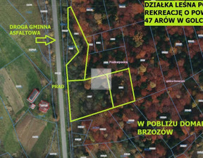 Leśne na sprzedaż, Brzozowski Domaradz Golcowa, 26 500 zł, 4700 m2, 1932/5738/OGS