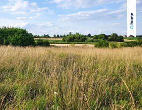 Działka na sprzedaż, Wołowski Wińsko Parkowa, 126 450 zł, 1405 m2, 389/14016/OGS