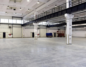 Magazyn, hala do wynajęcia, Łódź Łódź-Górna, 8600 zł, 430 m2, 714/9887/OHW