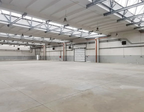 Magazyn, hala do wynajęcia, Łódź Teofilów, 59 500 zł, 3500 m2, 687/9887/OHW