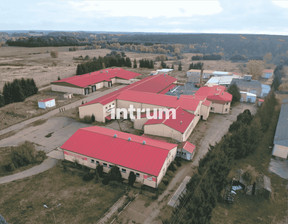 Fabryka, zakład na sprzedaż, Gryficki (Pow.) Gryfice (Gm.) Ościęcin, 3 813 820 zł, 6547,6 m2, 239