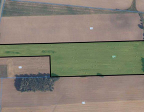 Rolny na sprzedaż, Złotowski (Pow.) Złotów (Gm.) Skic, 523 350 zł, 112 764 m2, 330
