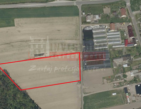 Działka na sprzedaż, Krapkowicki Gogolin Dąbrówka, 650 000 zł, 13 433 m2, 15307