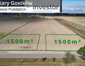 Działka na sprzedaż, Poddębicki Wartkowice Stary Gostków, 120 000 zł, 1500 m2, 4602/9376/OGS