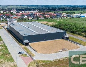 Magazyn, hala do wynajęcia, Krośnieński Gubin, 24 500 euro (104 860 zł), 7000 m2, 308/3508/OHW