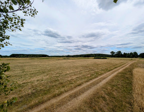 Rolny na sprzedaż, Tomaszowski Rzeczyca Roszkowa Wola, 85 000 zł, 15 400 m2, 811/13397/OGS