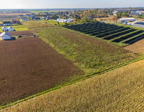 Działka na sprzedaż, Oleśnicki Dobroszyce Nowica, 84 000 zł, 877 m2, 868/13397/OGS