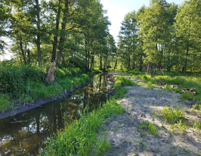 Działka na sprzedaż, Łowicki Bielawy Psary, 307 000 zł, 18 000 m2, 103/13397/OGS