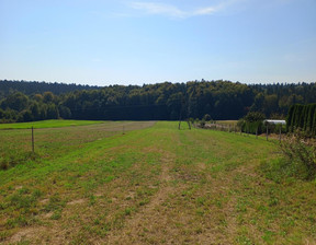 Działka na sprzedaż, Kielecki Nowa Słupia Trzcianka, 199 000 zł, 5000 m2, 814/13397/OGS