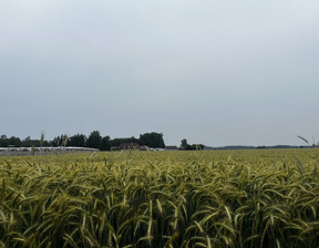 Budowlany na sprzedaż, Łaski Wodzierady Leśnica, 65 000 zł, 1000 m2, 407/13397/OGS