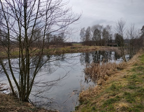 Działka na sprzedaż, Oleśnicki Oleśnica Boguszyce, 119 000 zł, 3700 m2, 664/13397/OGS