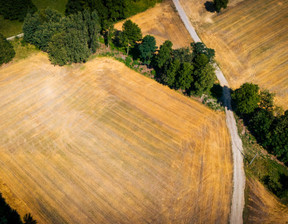 Działka na sprzedaż, Poddębicki Poddębice Adamów, 81 575 zł, 1255 m2, 764/13397/OGS