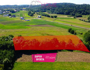 Działka na sprzedaż, Brzozowski Haczów Jabłonica Polska, 256 000 zł, 5700 m2, 680/6619/OGS