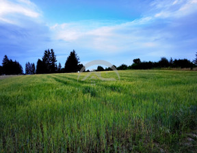 Handlowo-usługowy na sprzedaż, Średzki (pow.) Kostomłoty (gm.) Piotrowice Główna, 500 000 zł, 6329 m2, 13