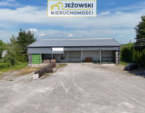 Magazyn, hala do wynajęcia, Opolski Łaziska Wojciechów, 10 000 zł, 661,59 m2, 3/14329/OOW