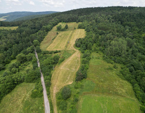 Rolny na sprzedaż, Gorlicki (pow.) Uście Gorlickie (gm.) Kunkowa, 189 000 zł, 16 500 m2, 1701