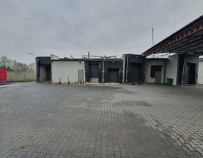 Magazyn do wynajęcia, Zgierski Aleksandrów Łódzki, 40 000 zł, 1150 m2, DSI-743514