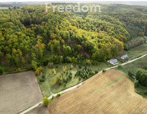 Działka na sprzedaż, Gdański Przywidz Klonowo Dolne Głęboka, 899 000 zł, 9739 m2, 9513/3685/OGS