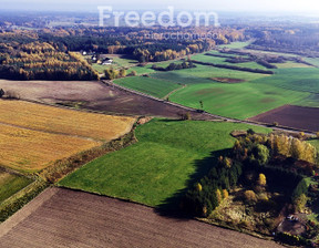 Działka na sprzedaż, Iławski Iława Frednowy, 150 000 zł, 12 607 m2, 9025/3685/OGS